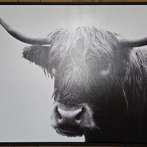 Highland Cow Black and White Wall Art